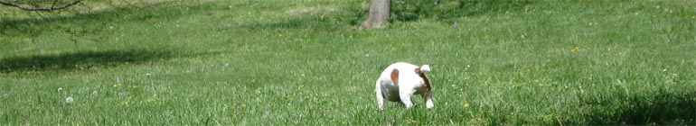 Gay No-cost Text Chat Site Internet header image 2 Gay No-cost Text Chat Site Internet header image 2